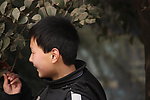小学生