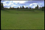 草坪