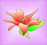 鲜花