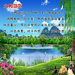 土鸭简介