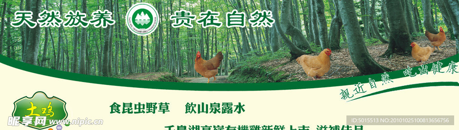 土鸡网站广告