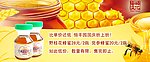 绿健网蜂蜜促销