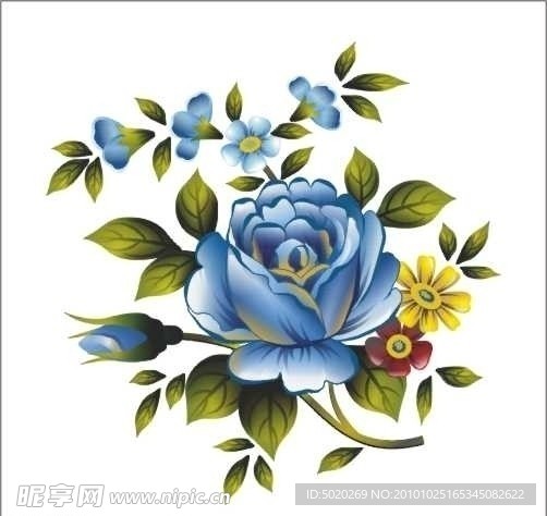 蓝玫瑰