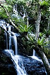 高山流水呀诺达