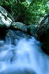 山高水长呀诺达雨林