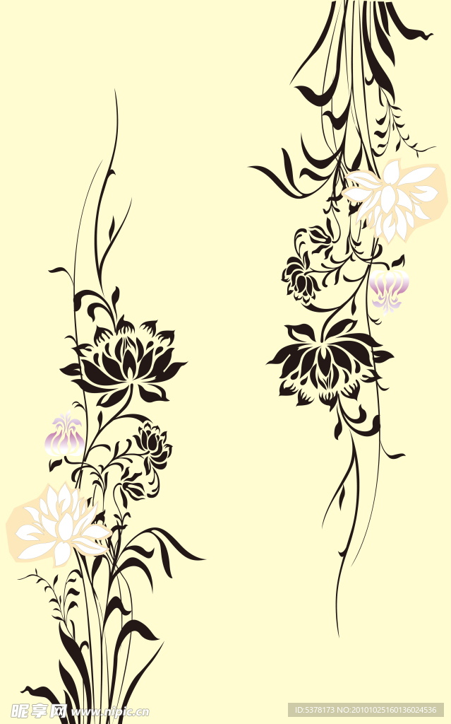 花纹