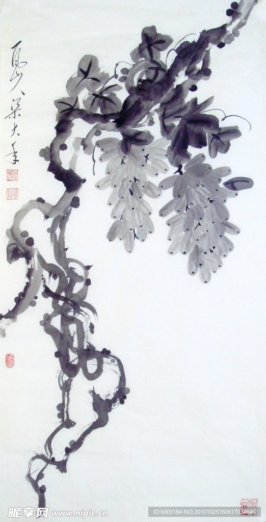 梁大年 国画 葡萄
