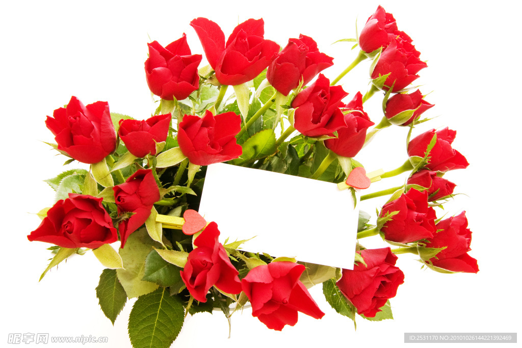 玫瑰花