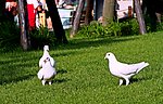上海