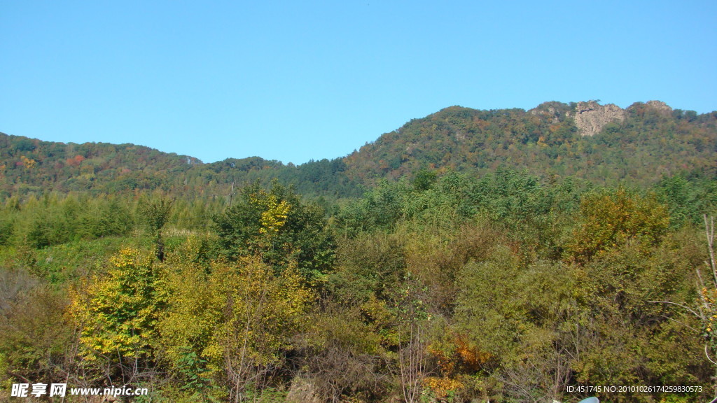 风景
