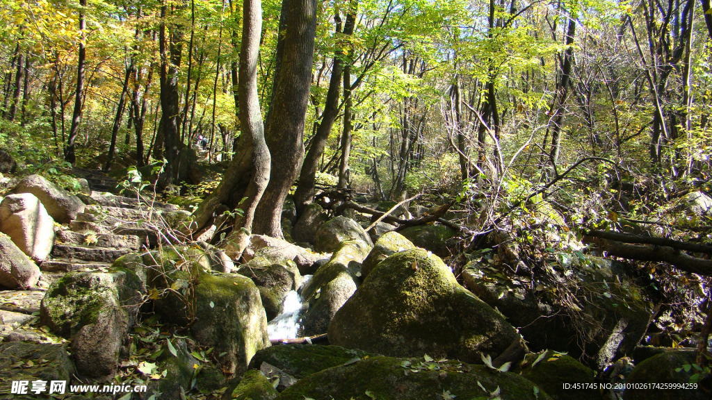 风景