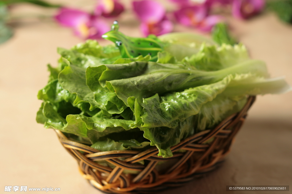 青菜