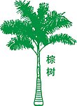 棕树