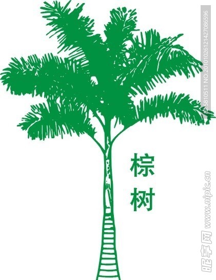棕树