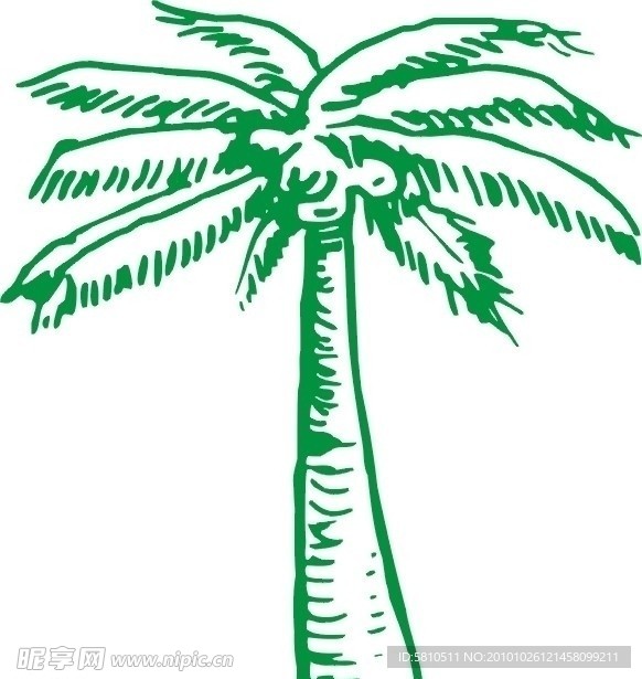 椰树
