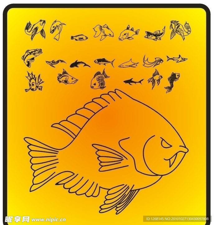 鱼 矢量 动物 图案 下载