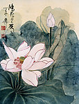 荷花画