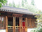杏帘在望