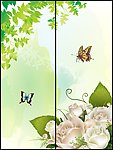 移门花蝶