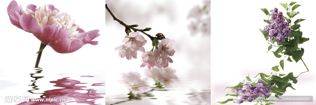 花卉装饰画