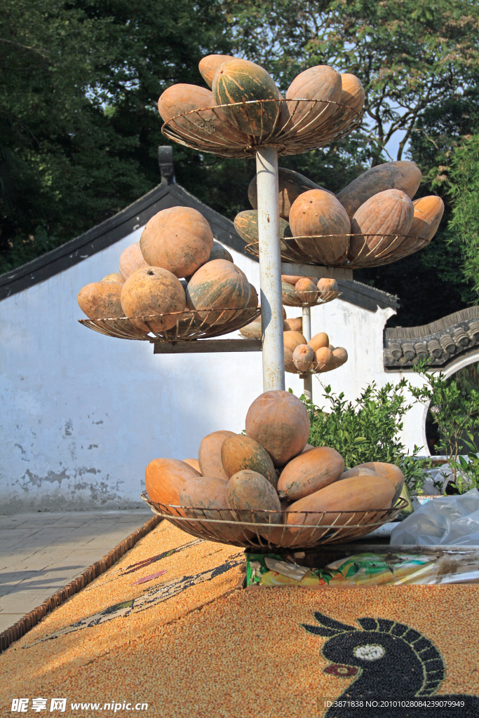 丰收满园