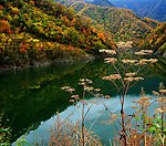 神农架风光
