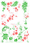花朵