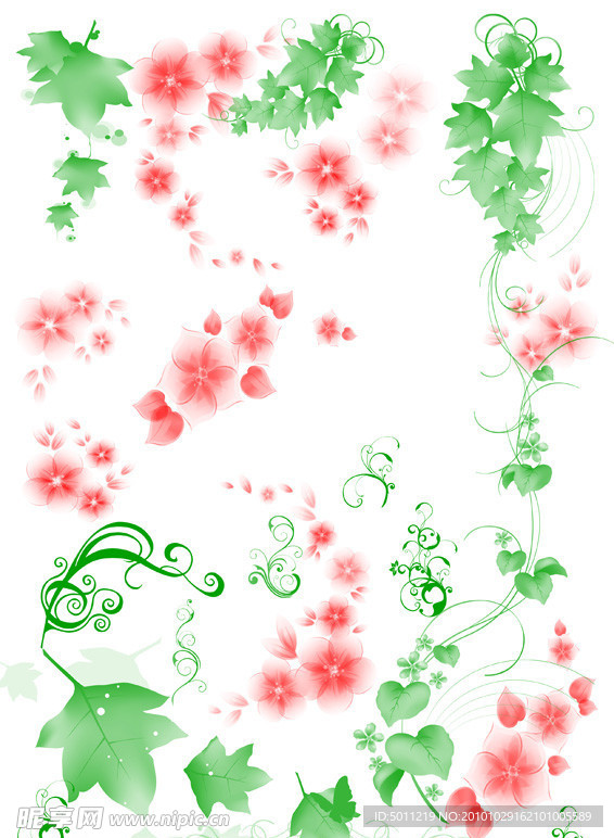 花朵