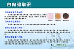 眼科版面