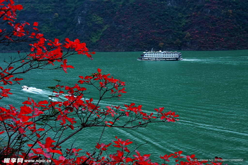 三峡红叶似彩霞