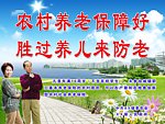 新农保标语