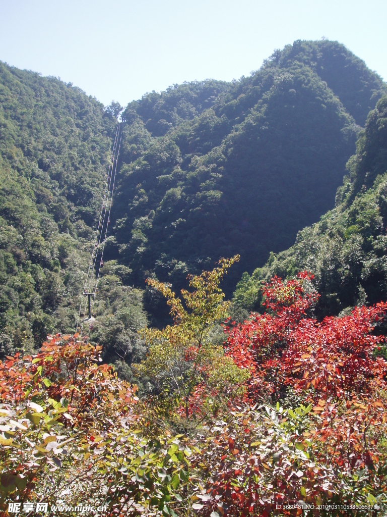 漫山红遍