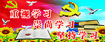 学习型党组织