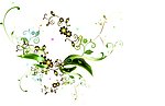 矢量鲜花