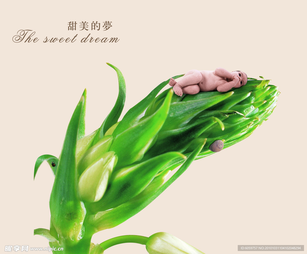 儿童与植物