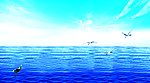 蓝天大海