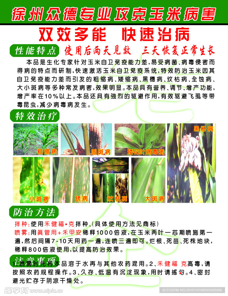 玉米病害