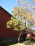 沈阳故宫