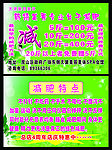 减肥 宣传页
