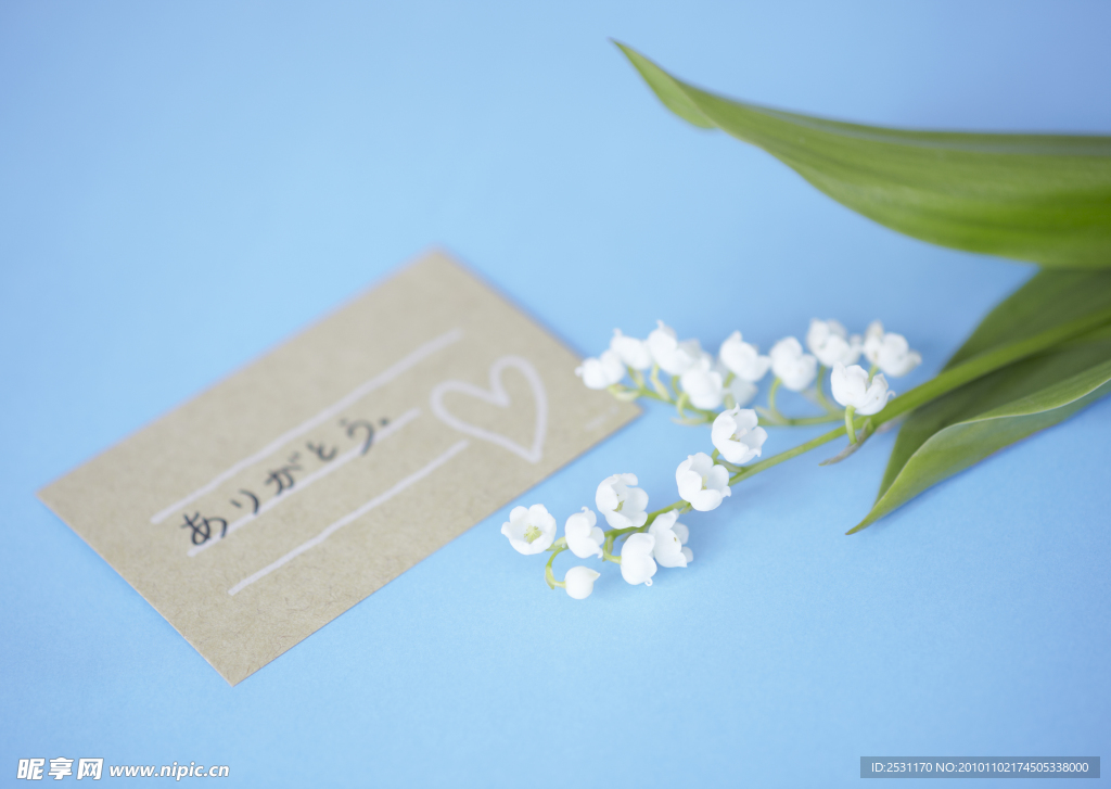 节日礼物