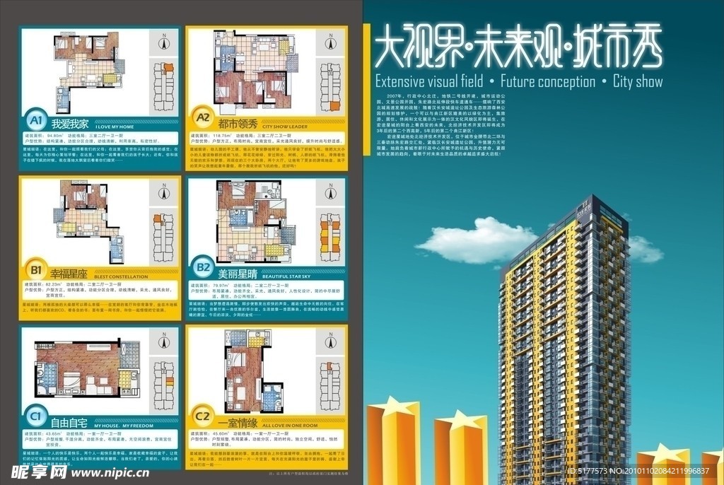 大视界