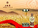 五粮尊广告画面