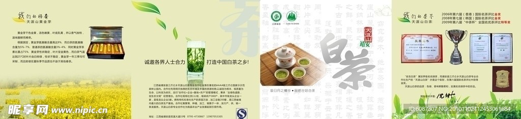 茶 白茶 静安白茶 茶叶折页