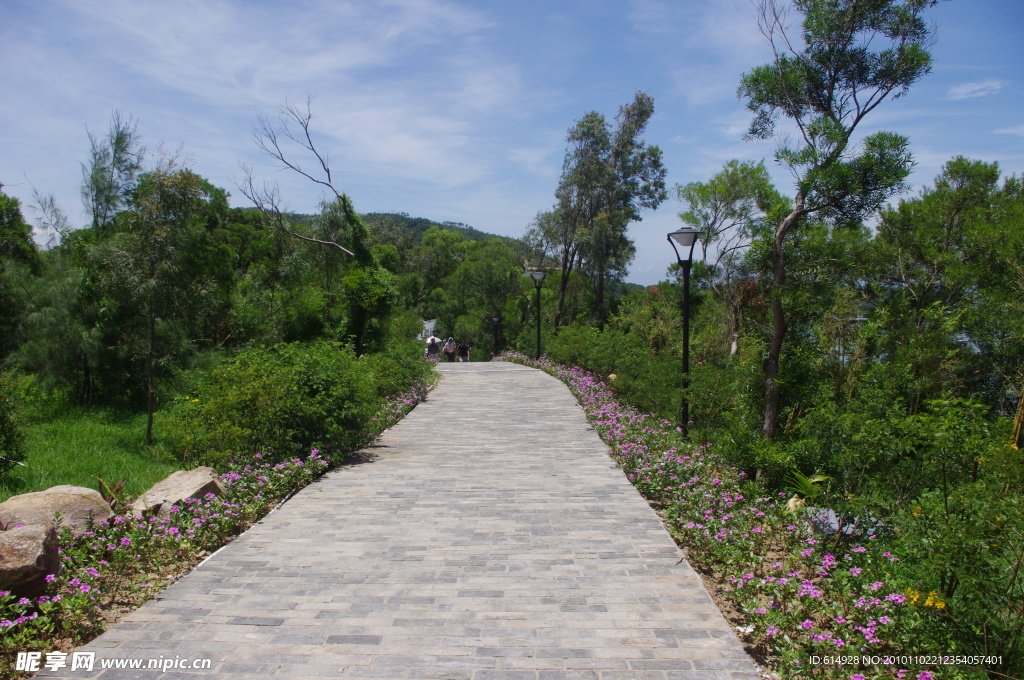 山间小路
