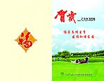 计生委贺卡