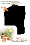 婚纱模板