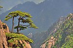 祖国名山 黄山美景