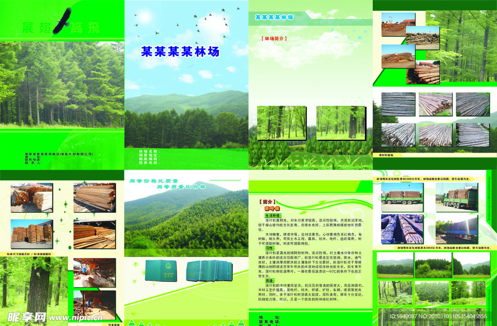 林场森林宣传册彩色样本