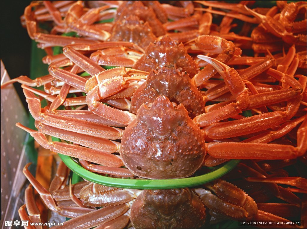 日本料理 毛蟹