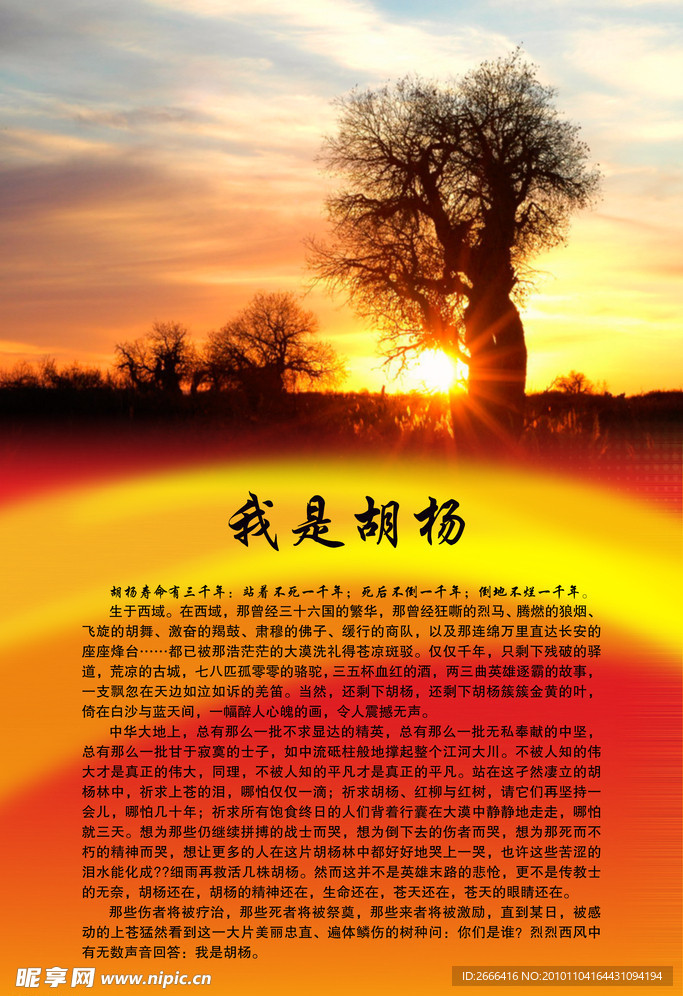 我是胡杨